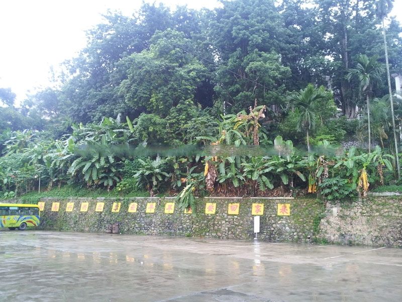 周边配套：五指山热带雨林景区1