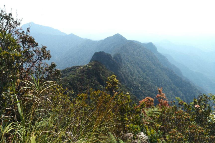 周边配套-五指山国家级自然保护区1