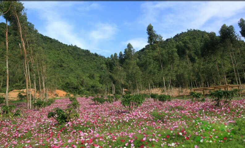 周边配套：山体公园