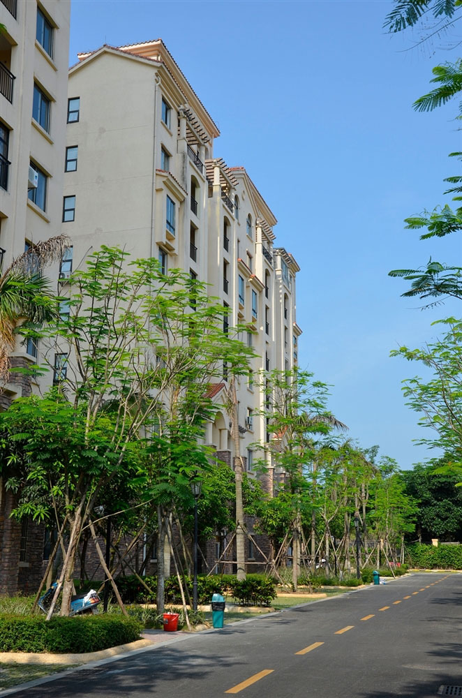 社区楼栋实景