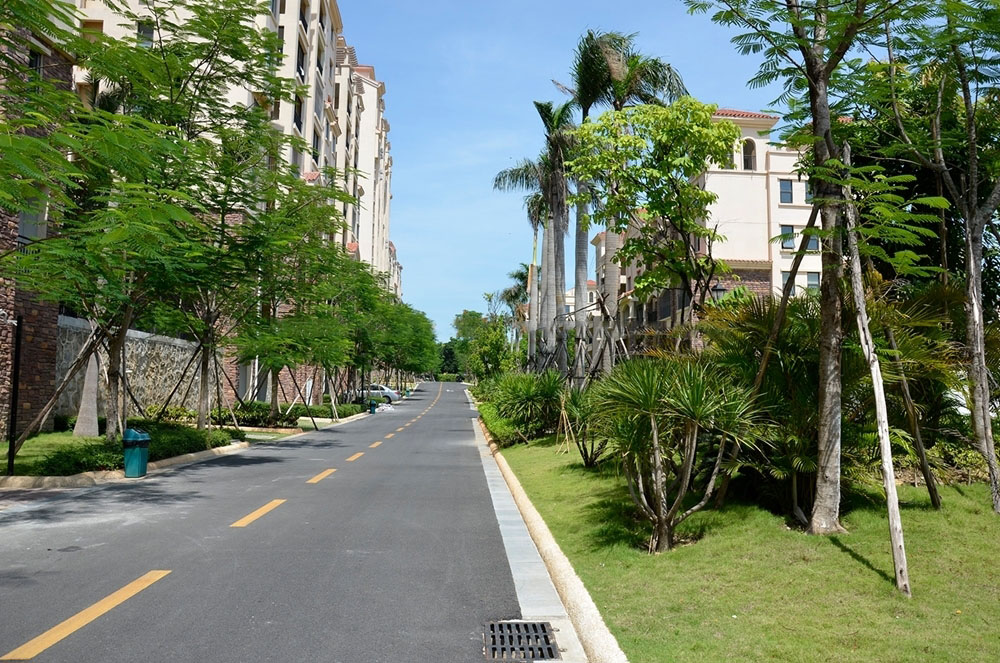 社区道路