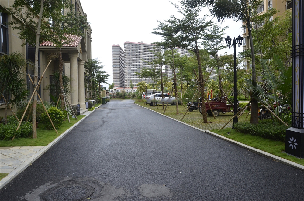 小区道路实景