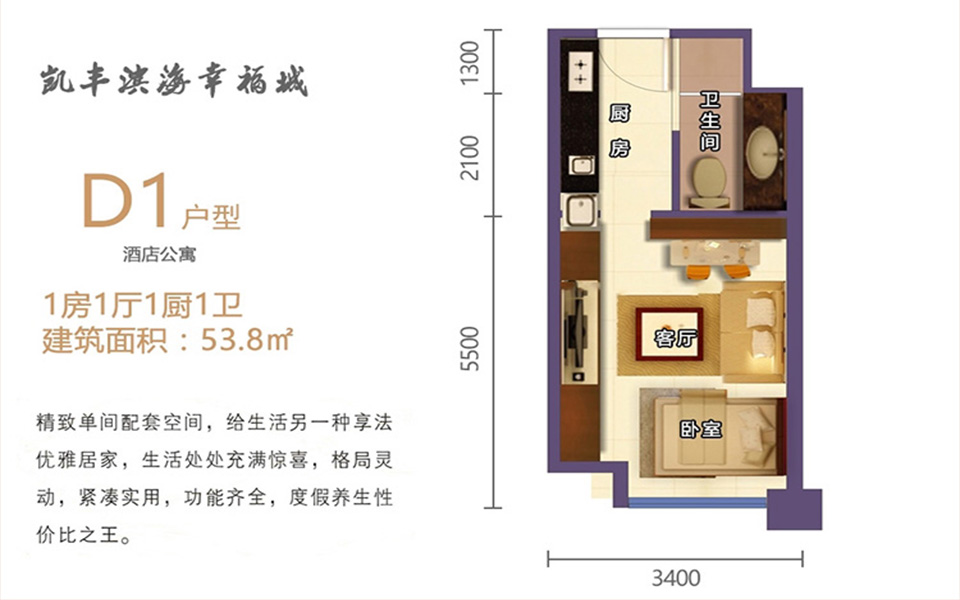 D1户型 1房1厅1厨1卫 53.8㎡