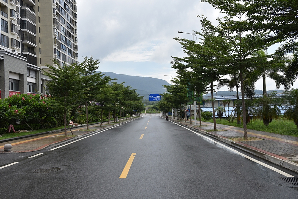 道路实景1