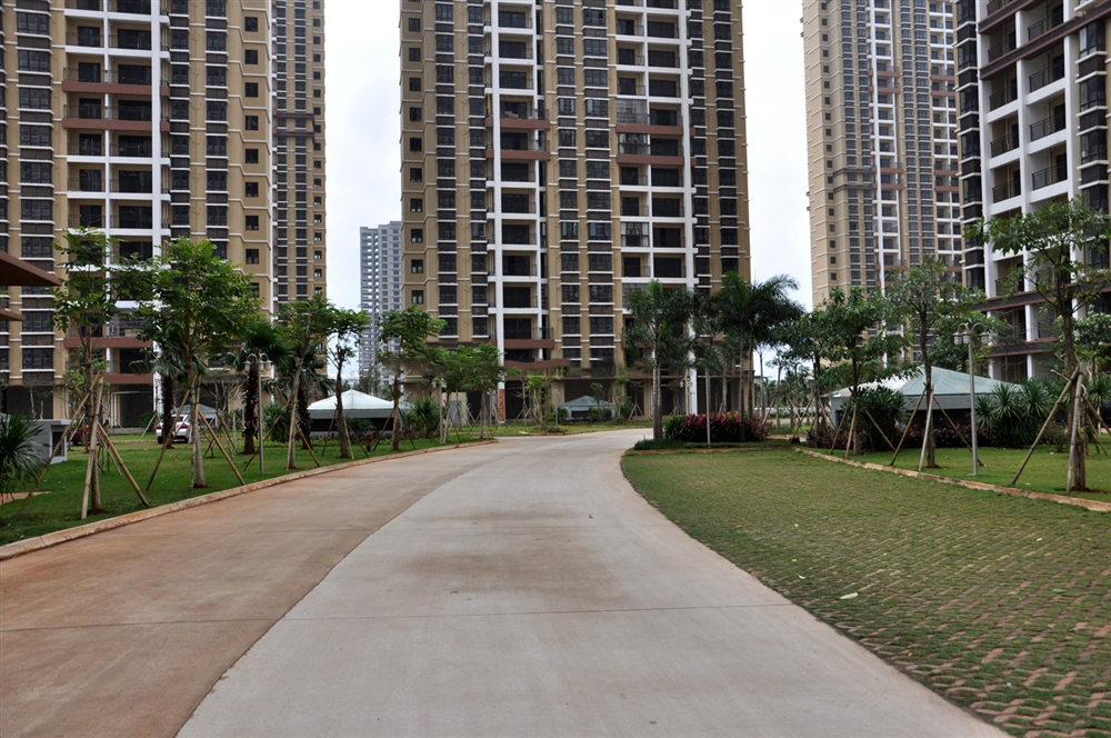 小区道路实景2