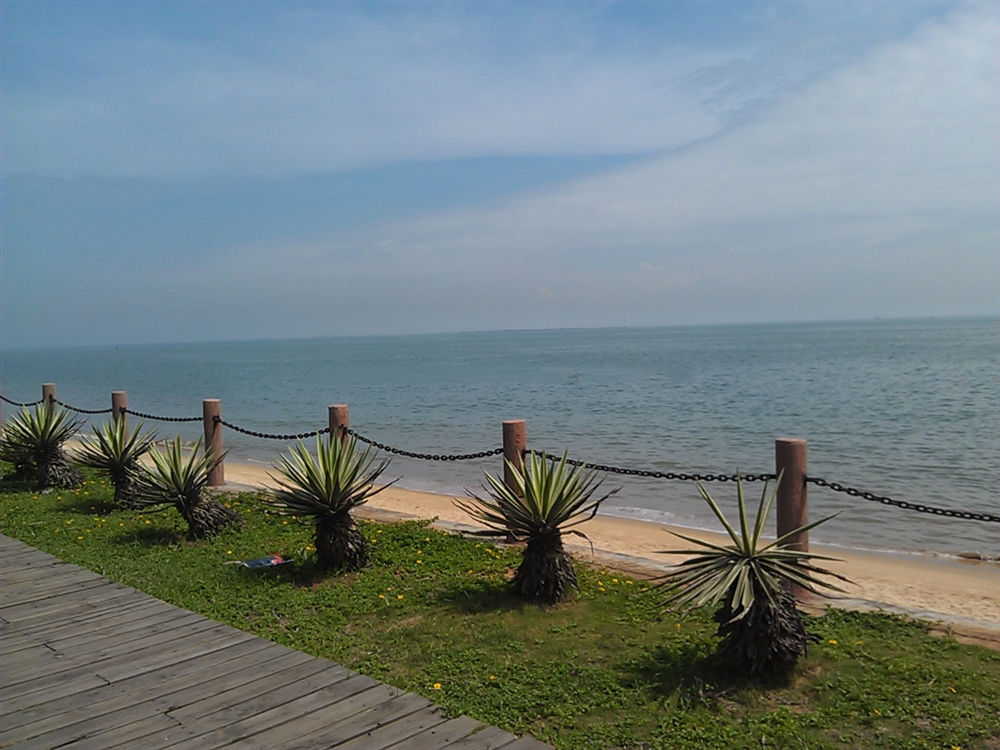 周边配套：西海岸带状公园