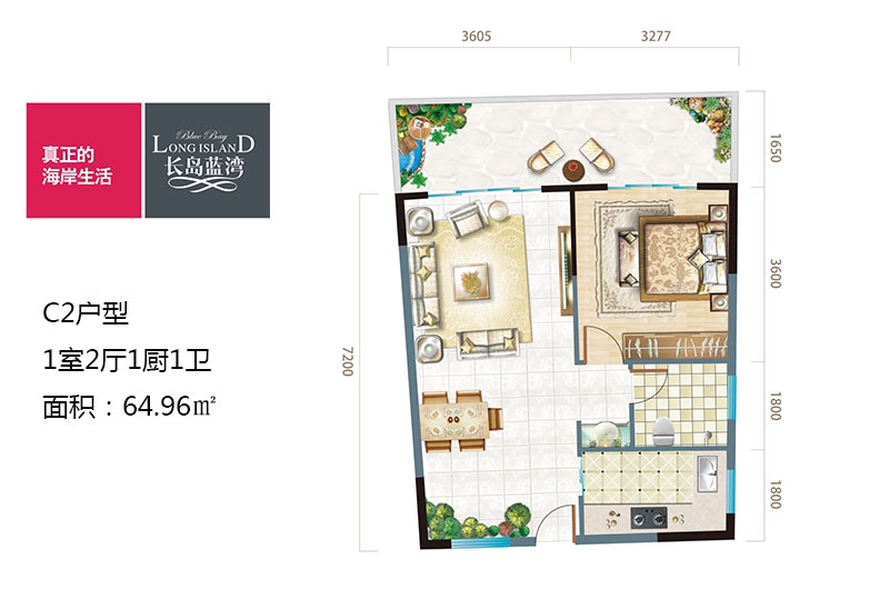 C2户型 1房2厅1卫 64.96㎡
