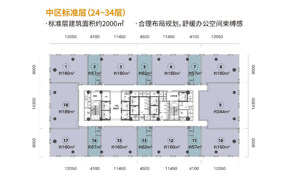 C座24层-34层