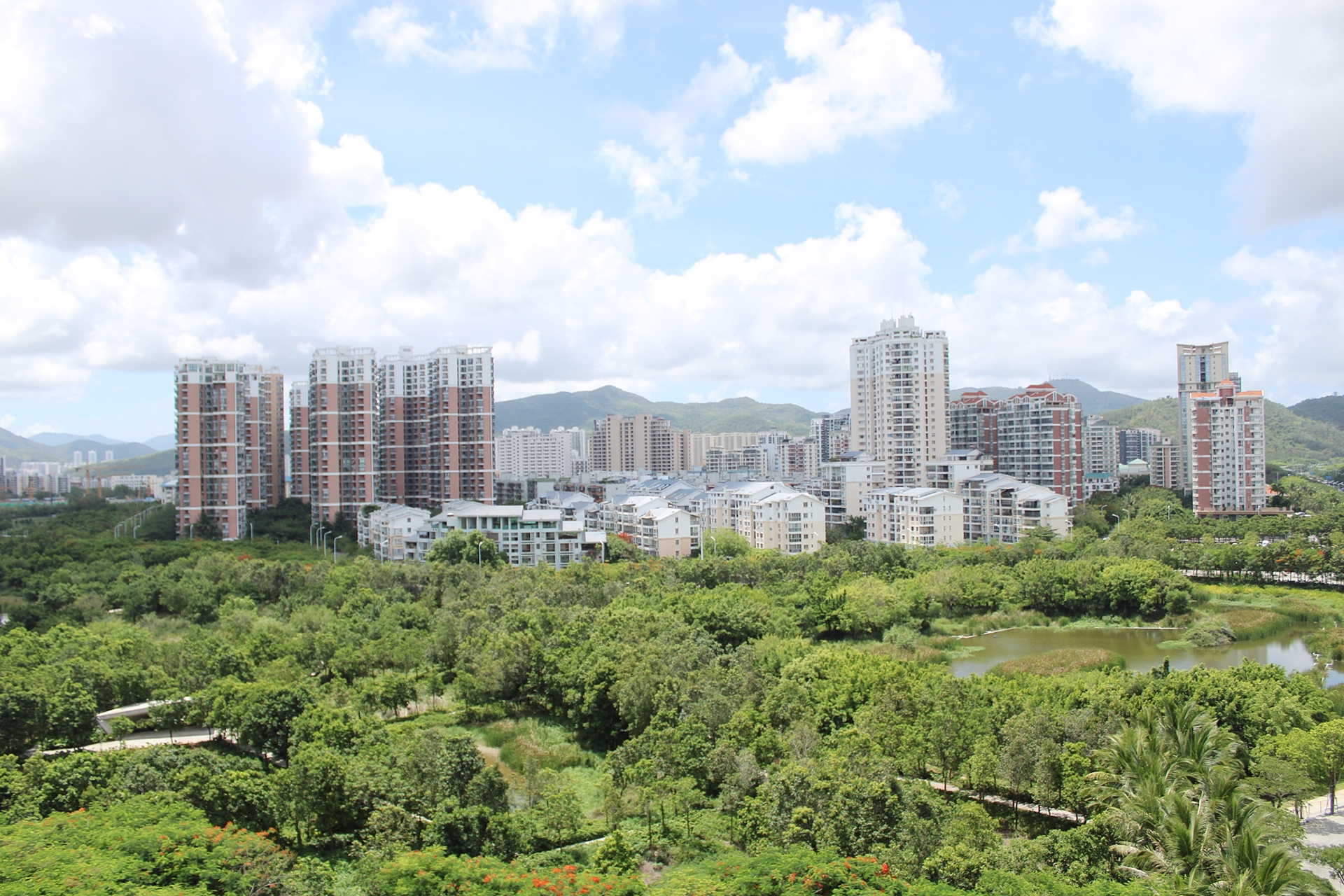 实景图